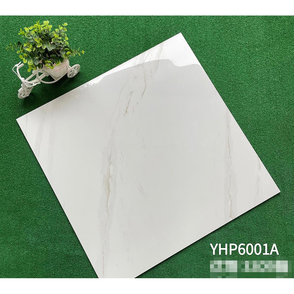 Carreau porcelaine 60x60 YHP6001A