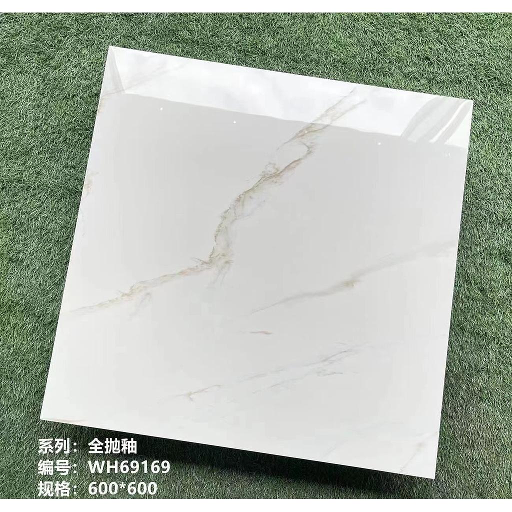 CARREAU MARBRE 60X60 WH69169
