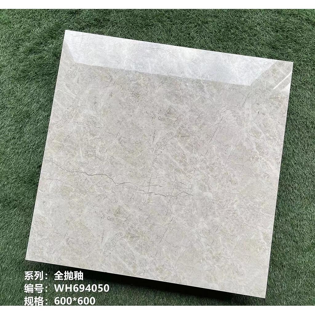 CARREAU MARBRE 60X60 WH694050