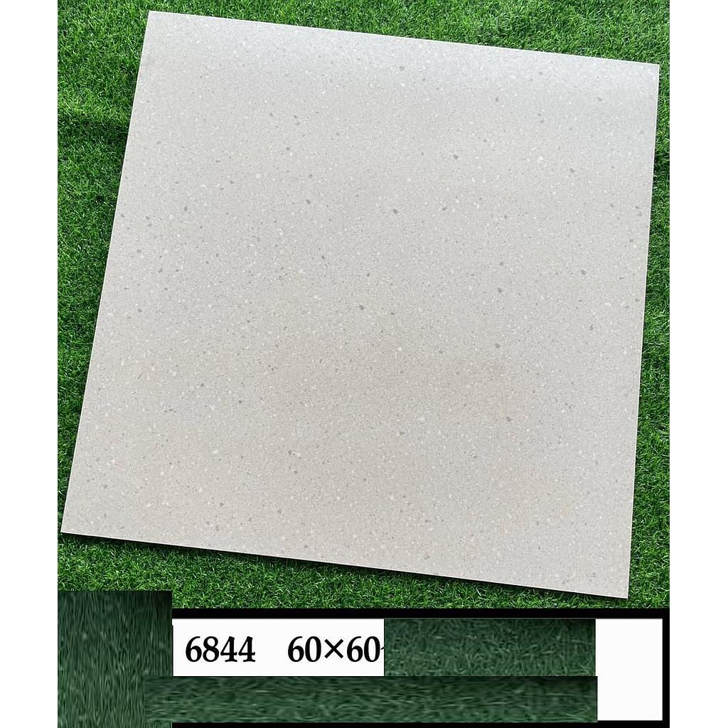 CARREAU MARBRE 60x60 - 6844