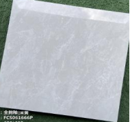 CARREAU MARBRE 60x60 - FCS061666P
