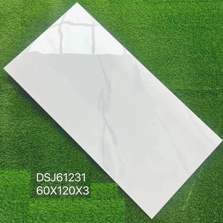 DSJ61231 - CARREAU 60X120