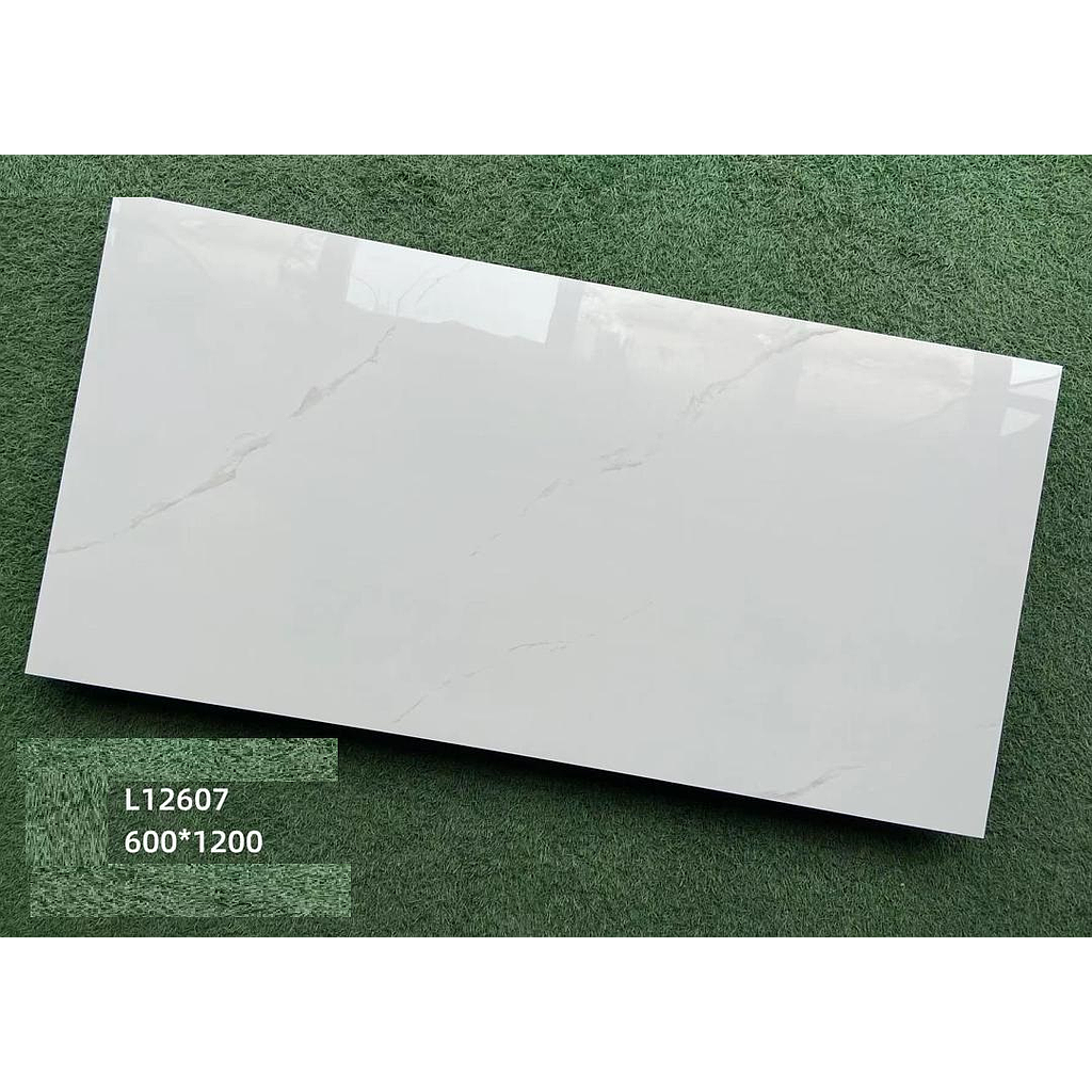 CARREAU 60X120  L12607