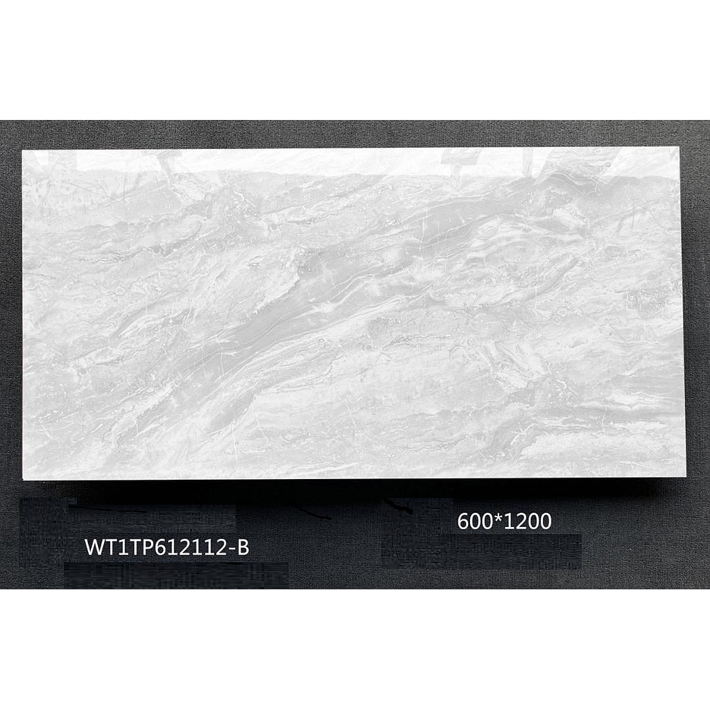 CARREAU 60X120 WT1TP612112-B