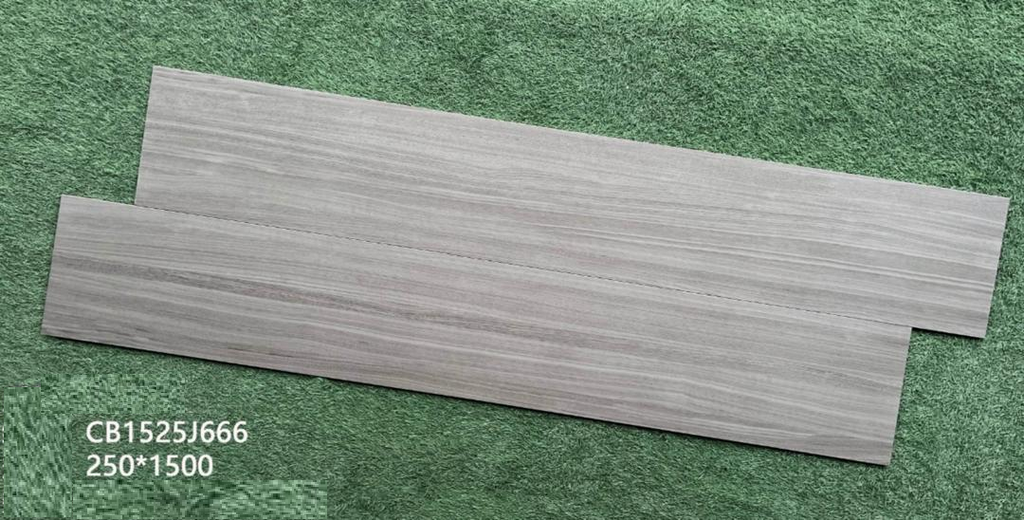 CARREAU 25X150  CB1525J666