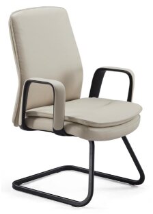 Sunon Carol Fixed Visitor's Chait CKY70GR-Brown