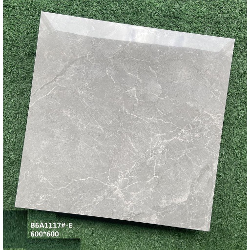 [CARREAU_B6A11117-A] B6A11117-A - CARREAU MARBRE 60x60