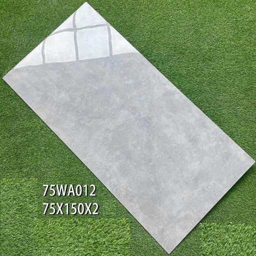 [CARREAU_75WA012] CARREAU 75X150 75WA012