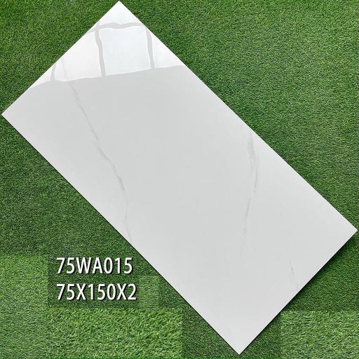 [CARREAU_75WA015] CARREAU 75X150 75WA015