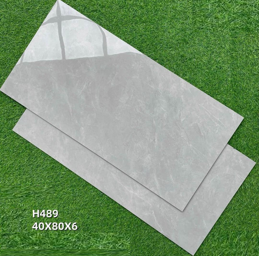 [CARREAU_H489] CARREAU 80X80  H489