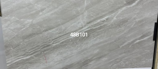 [CARREAU_48B101] CARREAU 40X80  48B101