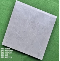 [CARREAU_L60PG15P] CARREAU L60PG15P 600X600MM
